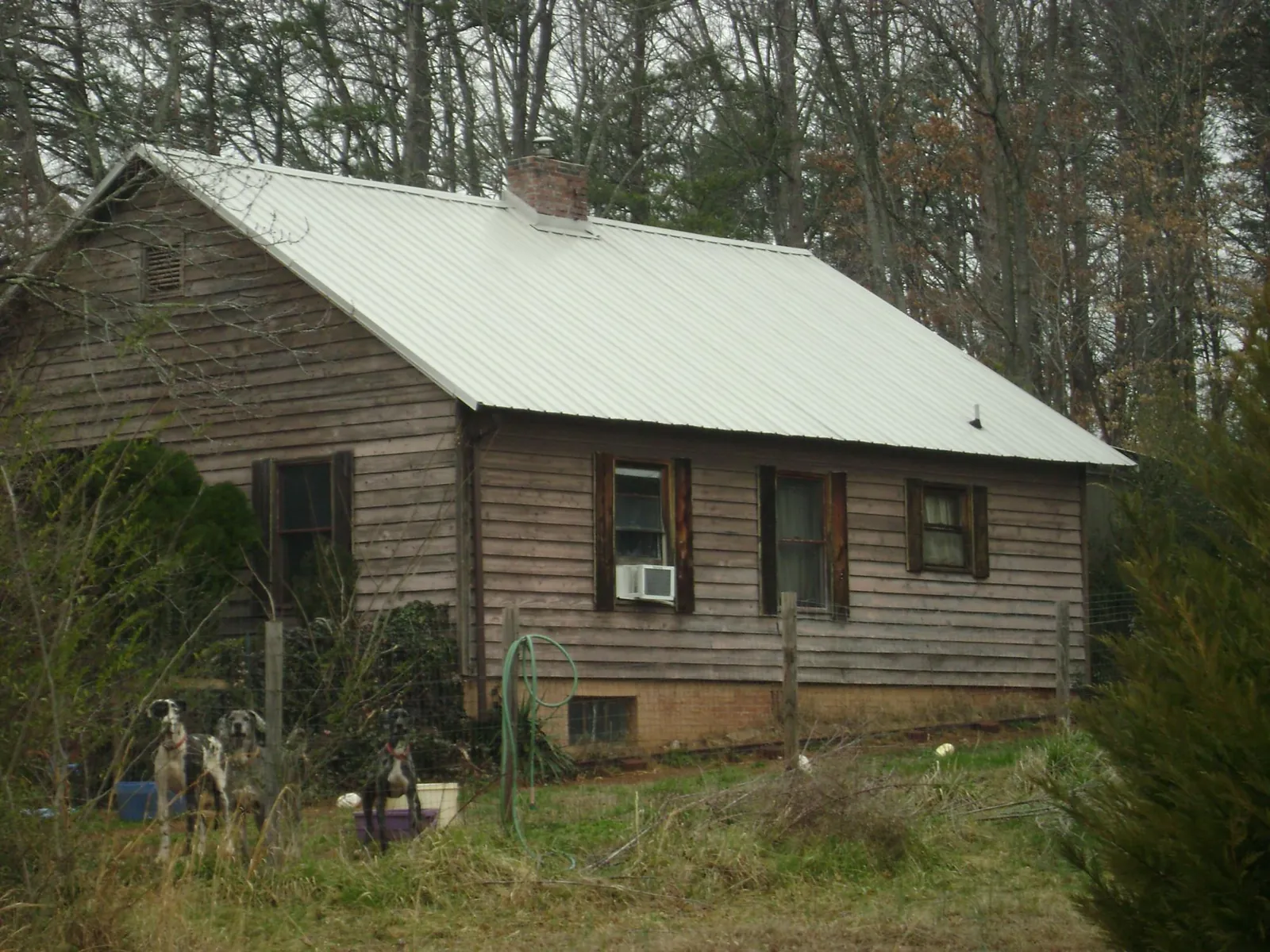 White metal roof on an old wood sided farmhouse, from a Asphalt Shingle Roof Repair job in Osseo